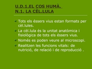 U.D.1.EL COS HUMÀ.  N.1. LA CÈL.LULA ,[object Object],[object Object],[object Object],[object Object]