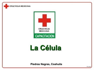 Dr.Lorca La Célula Piedras Negras, Coahuila 