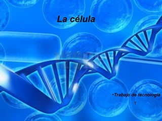 La célula
T
•Trabajo de tecnología
 