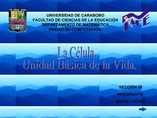 La Célula. Unidad Básica de la Vida. SECCIÓN 36 INTEGRANTE: MIGUEL PÉREZ UNIVERSIDAD DE CARABOBO FACULTAD DE CIENCIAS DE LA EDUCACIÓN DEPARTAMENTO DE MATEMÁTICA UNIDAD DE COMPUTACIÓN. 