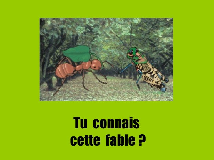 La Cigale Et La Fourmi Cc La Cigale Et La Fourmi Cc