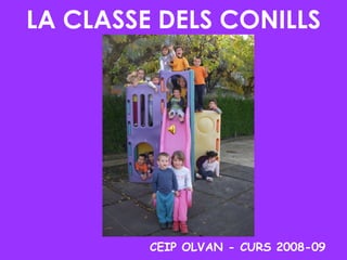 LA CLASSE DELS CONILLS CEIP OLVAN - CURS 2008-09 