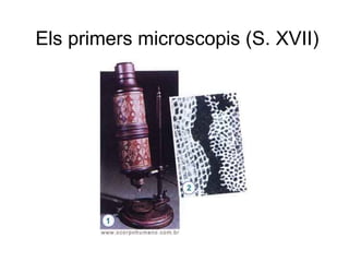 Els primers microscopis (S. XVII) 