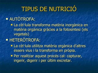 TIPUS DE NUTRICIÓ AUTÒTROFA: La cèl·lula transforma matèria inorgànica en matèria orgànica gràcies a la fotosíntesi (els vegetals) HETERÒTROFA: La cèl·lula utilitza matèria orgànica d’altres éssers vius i la transforma en pròpia. Per realitzar aquest procés cal: capturar, ingerir, digerir i per últim excretar. 