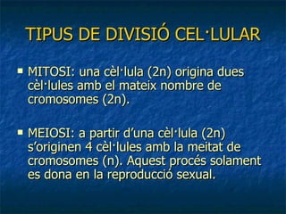 TIPUS DE DIVISIÓ CEL·LULAR MITOSI: una cèl·lula (2n) origina dues cèl·lules amb el mateix nombre de cromosomes (2n). MEIOSI: a partir d’una cèl·lula (2n) s’originen 4 cèl·lules amb la meitat de cromosomes (n). Aquest procés solament es dona en la reproducció sexual. 
