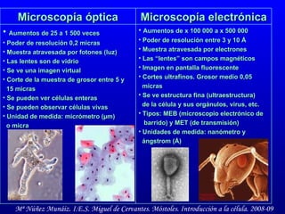 Aumentos de x 100 000 a x 500 000 Poder de resolución entre 3 y 10  Å Muestra atravesada por electrones Las “lentes” son campos magnéticos Imagen en pantalla fluorescente Cortes ultrafinos. Grosor medio 0,05 micras Se ve estructura fina (ultraestructura)  de la célula y sus orgánulos, virus, etc.  Tipos: MEB (microscopio electrónico de barrido) y MET (de transmisión) Unidades de medida: nanómetro y ángstrom (Å) Microscopía electrónica Aumentos de 25 a 1 500 veces Poder de resolución 0,2 micras Muestra atravesada por fotones (luz) Las lentes son de vidrio Se ve una imagen virtual Corte de la muestra de grosor entre 5 y 15 micras Se pueden ver células enteras Se pueden observar células vivas Unidad de medida: micrómetro ( µm)   o micra Microscopía óptica 