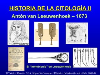 HISTORIA DE LA CITOLOGÍA II Antón van Leeuwenhoek – 1673 El “homúnculo” de Leeuwenhoek 