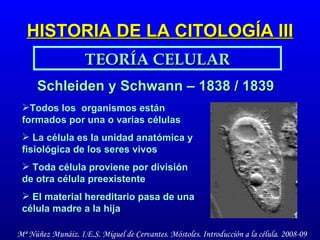 HISTORIA DE LA CITOLOGÍA III TEORÍA CELULAR Schleiden y Schwann – 1838 / 1839 Todos los  organismos están formados por una o varias células La célula es la unidad anatómica y fisiológica de los seres vivos Toda célula proviene por división de otra célula preexistente El material hereditario pasa de una célula madre a la hija 