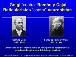 Golgi  “contra”  Ramón y Cajal Reticularistas  “contra”  neuronistas   Ambos reciben el Premio Nobel en 1906 por sus aportaciones al estudio de la estructura del sistema nervioso Camillo Golgi 1843 - 1926   Santiago Ramón y Cajal   1852 - 1934 