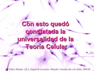 Con esto quedó  constatada la  universalidad de la  Teoría Celular Mª Núñez Munáiz. I.E.S. Miguel de Cervantes. Móstoles. Introducción a la célula. 2008-09 