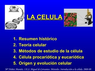 LA CELULA ,[object Object],[object Object],[object Object],[object Object],[object Object],Mª Núñez Munáiz. I.E.S. Miguel de Cervantes. Móstoles. Introducción a la célula. 2008-09 