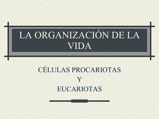 LA ORGANIZACIÓN DE LA VIDA CÉLULAS PROCARIOTAS Y EUCARIOTAS 