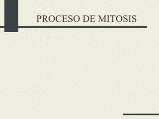 PROCESO DE MITOSIS 