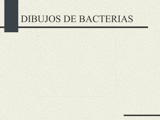 DIBUJOS DE BACTERIAS 