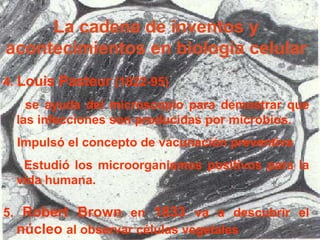 La cadena de inventos y acontecimientos en biología celular 4 .  Louis Pasteur  (1822-95)  se ayuda del microscopio para demostrar que las infecciones son producidas por microbios.  Impulsó el concepto de vacunación preventiva  Estudió   l o s microorganismos positivos para la vida humana. 5.  Robert Brown  en  1833  va a descubrir el  núcleo  al observar células vegetales 