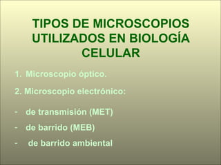 TIPOS DE MICROSCOPIOS UTILIZADOS EN BIOLOGÍA CELULAR Microscopio óptico. 2. M icroscopio electrónico :  de transmisión (MET) de barrido (MEB) de barrido ambiental 