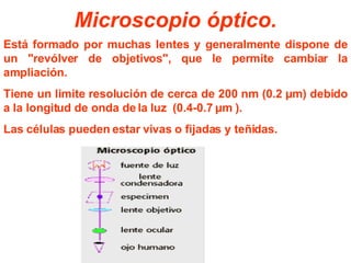 Microscopio óptico. Está formado por  muchas  lentes y generalmente dispone de un "revólver de objetivos", que le permite cambiar la ampliación. Tiene un limite resolución de cerca de 200 nm (0.2 µm) debido a la longitud de onda de la luz  (0.4-0.7 µm ).  Las células pueden estar vivas o fijadas y teñidas.   