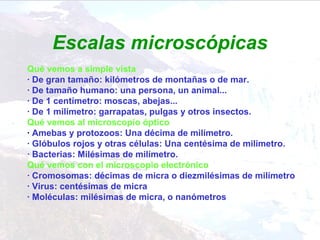Escalas microscópicas Qué vemos a simple vista · De gran tamaño: kilómetros de montañas o de mar. · De tamaño humano: una persona, un animal... · De 1 centímetro: moscas, abejas... · De 1 milímetro: garrapatas, pulgas y otros insectos. Qué vemos al microscopio óptico ·  Amebas y protozoos: Una décima de milímetro. · Glóbulos rojos y otras células: Una centésima de milímetro. · Bacterias: Milésimas de milímetro. Qué vemos con el microscopio electrónico · Cromosomas: décimas de micra o diezmilésimas de milímetro · Virus: centésimas de micra · Moléculas: milésimas de micra, o nanómetros   