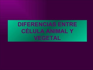 DIFERENCIAS ENTRE CÉLULA ANIMAL Y VEGETAL 