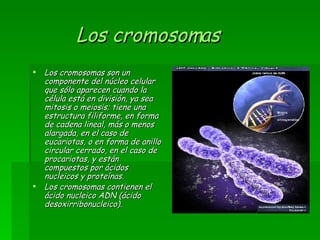 Los cromosomas Los cromosomas son un componente del núcleo celular que sólo aparecen cuando la célula está en división, ya sea mitosis o meiosis; tiene una estructura filiforme, en forma de cadena lineal, más o menos alargada, en el caso de eucariotas, o en forma de anillo circular cerrado, en el caso de procariotas, y están compuestos por ácidos nucleicos y proteínas.  Los cromosomas contienen el ácido nucleico ADN (ácido desoxirribonucleico).  