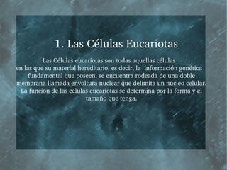     1. Las Células Eucariotas Las Células eucariotas son todas aquellas células en las que su material hereditario, es decir, la  información genética fundamental que poseen, se encuentra rodeada de una doble membrana llamada envoltura nuclear que delimita un núcleo celular. La función de las células eucariotas se determina por la forma y el tamaño que tenga. 