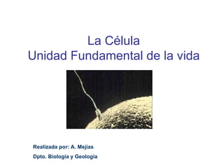 La Célula Unidad Fundamental de la vida Realizada por: A. Mejías Dpto. Biología y Geología 