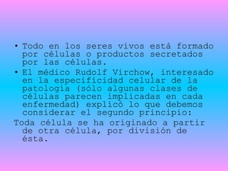 Todo en los seres vivos está formado por células o productos secretados por las células.  El médico Rudolf Virchow, interesado en la especificidad celular de la patología (sólo algunas clases de células parecen implicadas en cada enfermedad) explicó lo que debemos considerar el segundo principio: Toda célula se ha originado a partir de otra célula, por división de ésta.  