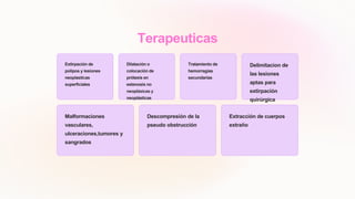 Terapeuticas
Extirpación de
polipos y lesiones
neoplasticas
superficiales
Dilatación o
colocación de
prótesis en
estenosis no
neoplásicas y
neoplásticas
Tratamiento de
hemorragias
secundarias
Delimitacion de
las lesiones
aptas para
extirpación
quirúrgica
Malformaciones
vasculares,
ulceraciones,tumores y
sangrados
Descompresión de la
pseudo obstrucción
Extracción de cuerpos
extraño
 