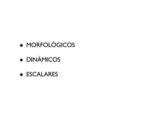 MORFOLÓGICOS DINÁMICOS ESCALARES 