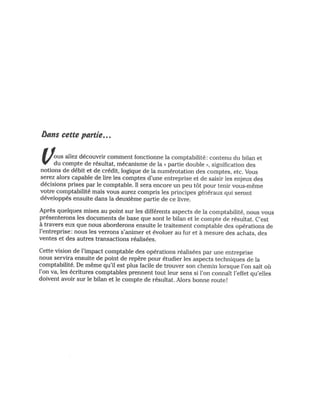 La comptabilite-pour-les-nuls