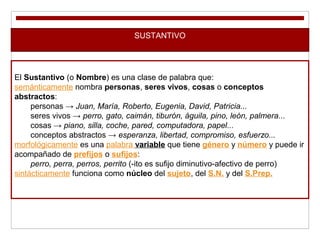 SUSTANTIVO
El Sustantivo (o Nombre) es una clase de palabra que:
semánticamente nombra personas, seres vivos, cosas o conceptos
abstractos:
personas → Juan, María, Roberto, Eugenia, David, Patricia...
seres vivos → perro, gato, caimán, tiburón, águila, pino, león, palmera...
cosas → piano, silla, coche, pared, computadora, papel...
conceptos abstractos → esperanza, libertad, compromiso, esfuerzo...
morfológicamente es una palabra variable que tiene género y número y puede ir
acompañado de prefijos o sufijos:
perro, perra, perros, perrito (-ito es sufijo diminutivo-afectivo de perro)
sintácticamente funciona como núcleo del sujeto, del S.N. y del S.Prep.
 