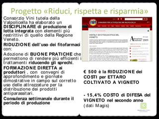 Progetto «Riduci, rispetta e risparmia»
€ 500 è la RIDUZIONE dei
COSTI per ETTARO
COLTIVATO A VIGNETO
- 15,4% COSTO di DIFESA del
VIGNETO nel secondo anno
( dati Magis)
Consorzio Vini tutela della
Valpolicella ha elaborato un
DISCIPLINARE di produzione di
lotta integrata con elementi più
restrittivi di quello della Regione
Veneto.
RIDUZIONE dell’uso dei fitofarmaci
con:
Adozione di BUONE PRATICHE che
permettono di rendere più efficienti i
trattamenti riducendo gli sprechi.
FORMAZIONE DIRETTA ai
produttori , con convegni di
approfondimento e giornate
dimostrative in campo sul corretto
uso delle attrezzature per la
distribuzione dei prodotti
antiparassitari.
Consulenza settimanale durante il
periodo di produzione
 
