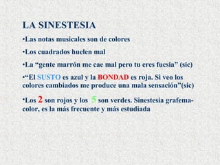 LA SINESTESIA Las notas musicales son de colores Los cuadrados huelen mal La “gente marrón me cae mal pero tu eres fucsia” (sic) “ El  SUSTO  es azul y la  BONDAD  es roja. Si veo los colores cambiados me produce una mala sensación”(sic) Los  2  son rojos y los  5  son verdes. Sinestesia grafema-color, es la más frecuente y más estudiada 