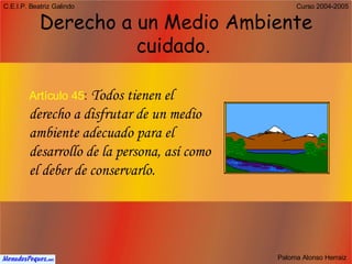 Derecho a un Medio Ambiente cuidado.   Artículo 45 :   Todos tienen el derecho a disfrutar de un medio ambiente adecuado para el desarrollo de la persona, así como el deber de conservarlo.  