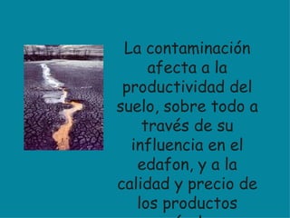 La contaminación afecta a la productividad del suelo, sobre todo a través de su influencia en el edafon, y a la calidad y precio de los productos agrícolas. 