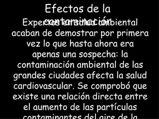 Expertos en salud ambiental acaban de demostrar por primera vez lo que hasta ahora era apenas una sospecha: la contaminación ambiental de las grandes ciudades afecta la salud cardiovascular. Se comprobó que existe una relación directa entre el aumento de las partículas contaminantes del aire de la ciudad y el engrosamiento de la pared interna de las arterias (la "íntima media"), que es un indicador comprobado de la arteriosclerosis. Efectos de la contaminación 