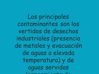Los principales contaminantes  son los vertidos de desechos industriales (presencia de metales y evacuación de aguas a elevada temperatura) y de aguas servidas (saneamiento de poblaciones). 