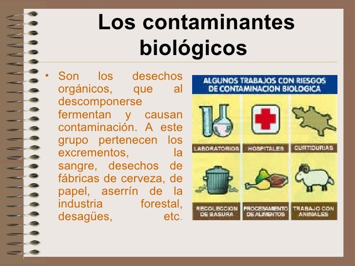 La Contaminacion Ambiental La Contaminacion Ambiental