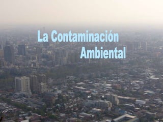 La Contaminación ambiental La Contaminación Ambiental 