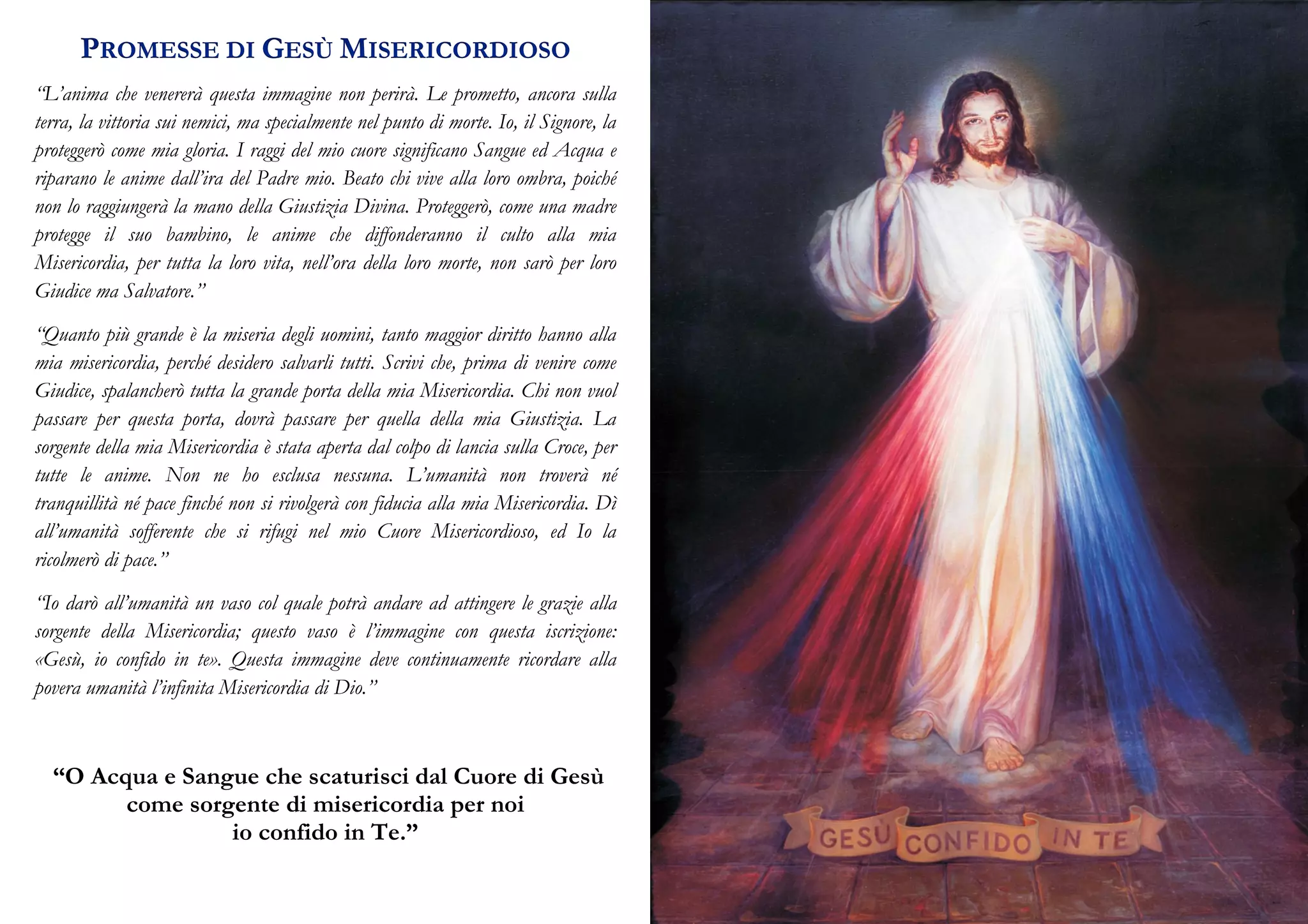 Coroncina alla Divina misericordia con immagine | PDF