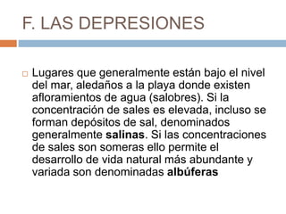 F. LAS DEPRESIONES
 Lugares que generalmente están bajo el nivel
del mar, aledaños a la playa donde existen
afloramientos de agua (salobres). Si la
concentración de sales es elevada, incluso se
forman depósitos de sal, denominados
generalmente salinas. Si las concentraciones
de sales son someras ello permite el
desarrollo de vida natural más abundante y
variada son denominadas albúferas
 