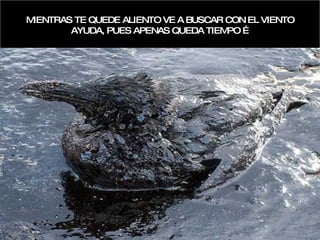 MIENTRAS TE QUEDE ALIENTO VE A BUSCAR CON EL VIENTO  AYUDA, PUES APENAS QUEDA TIEMPO … 