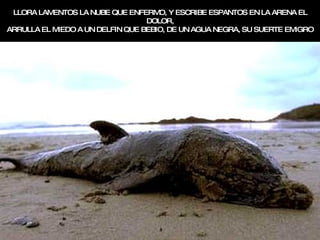 LLORA LAMENTOS LA NUBE QUE ENFERMO, Y ESCRIBE ESPANTOS EN LA ARENA EL DOLOR, ARRULLA EL MIEDO A UN DELFIN QUE BEBIO, DE UN AGUA NEGRA, SU SUERTE EMIGRO 