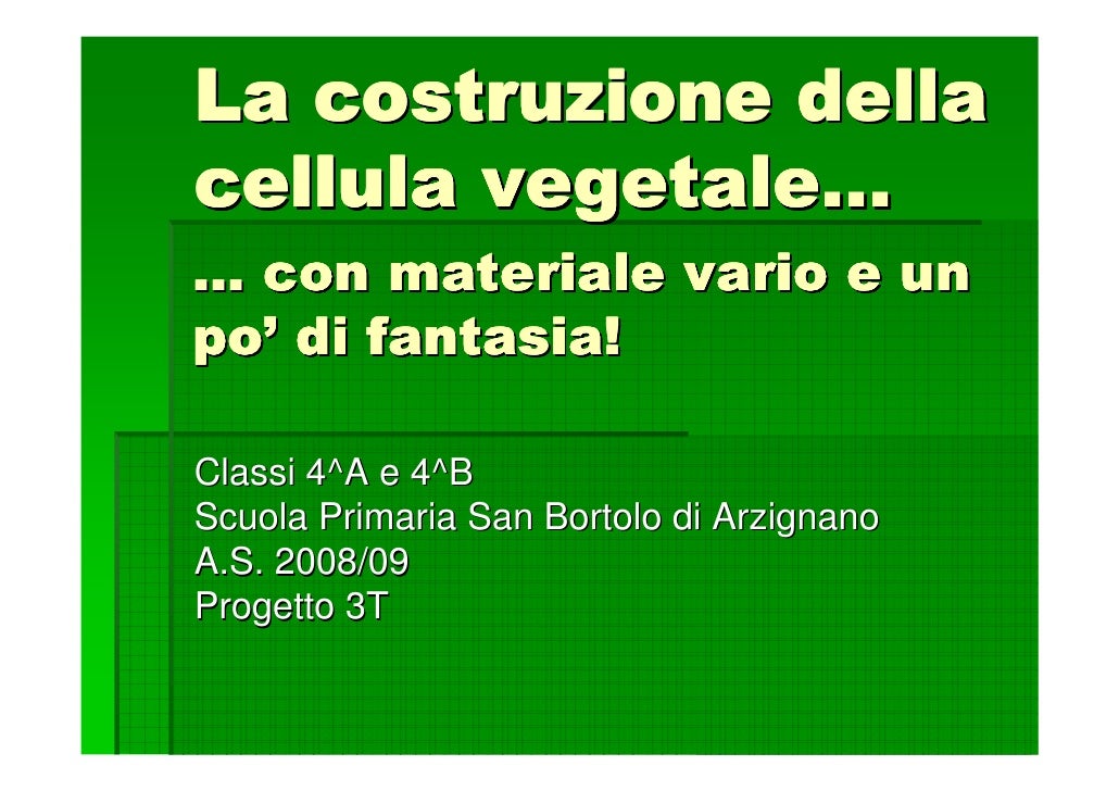 La Costruzione Della Cellula Vegetale