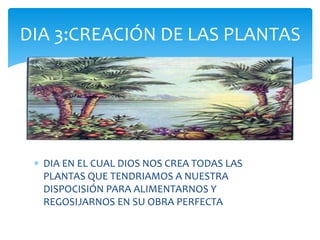  DIA EN EL CUAL DIOS NOS CREA TODAS LAS
PLANTAS QUE TENDRIAMOS A NUESTRA
DISPOCISIÓN PARA ALIMENTARNOS Y
REGOSIJARNOS EN SU OBRA PERFECTA
DIA 3:CREACIÓN DE LAS PLANTAS