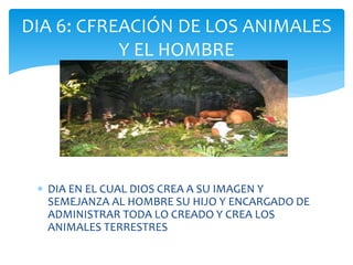  DIA EN EL CUAL DIOS CREA A SU IMAGEN Y
SEMEJANZA AL HOMBRE SU HIJO Y ENCARGADO DE
ADMINISTRAR TODA LO CREADO Y CREA LOS
ANIMALES TERRESTRES
DIA 6: CFREACIÓN DE LOS ANIMALES
Y EL HOMBRE