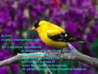 Sí,!!!!!!!! vivamos intensamente cada día y sepamos  agradecerle  al Señor por cada bendición disfrutada, aún cuando sea de  corta duración. Hagámoslo y  permitamos que sea Él quien llene nuestros corazones de santa expectativa para nuestros mañanas.   
