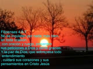 Filipenses 4:6-7 No se inquieten por nada; más bien,  en toda ocasión, con oración y ruego, presenten  sus peticiones a Dios y denle gracias. Y la paz de Dios, que sobrepasa todo entendimiento , cuidará sus corazones y sus  pensamientos en Cristo Jesús . 