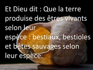 Dieu dit encore :
« Que la Terre produise
les plantes, les fleurs et
les forêts ! »
Et Dieu dit : Que la terre
produise des êtres vivants
selon leur
espèce : bestiaux, bestioles
et bêtes sauvages selon
leur espèce.
 