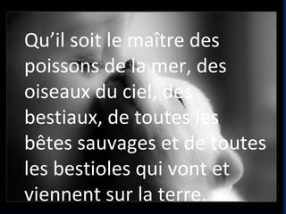 Qu’il soit le maître des
poissons de la mer, des
oiseaux du ciel, des
bestiaux, de toutes les
bêtes sauvages et de toutes
les bestioles qui vont et
viennent sur la terre. »
 